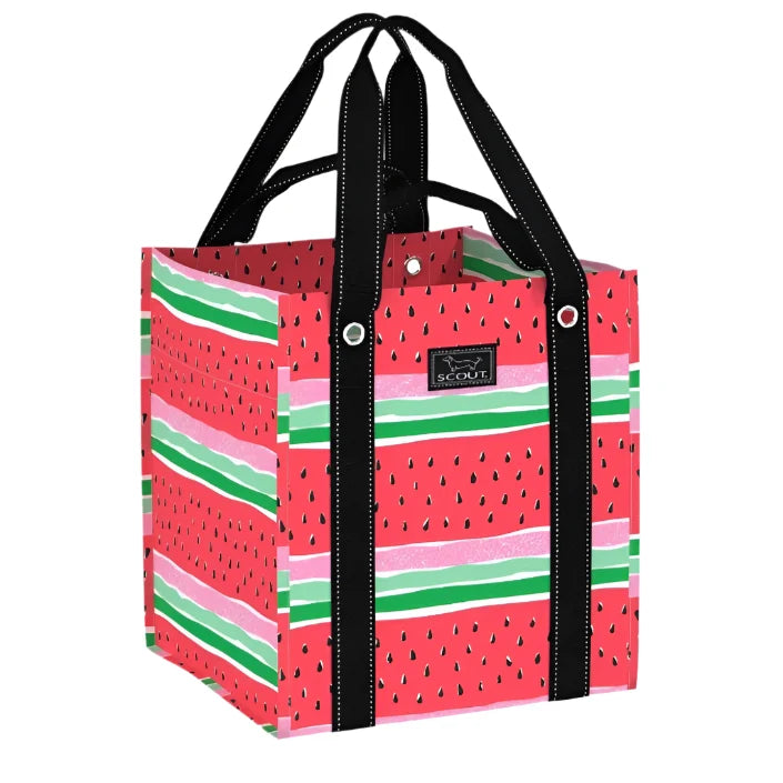 Bagette Melondramtic Tote