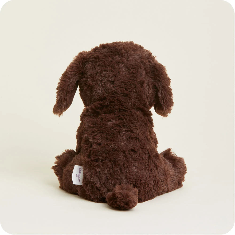 Chocolate Labrador Warmie