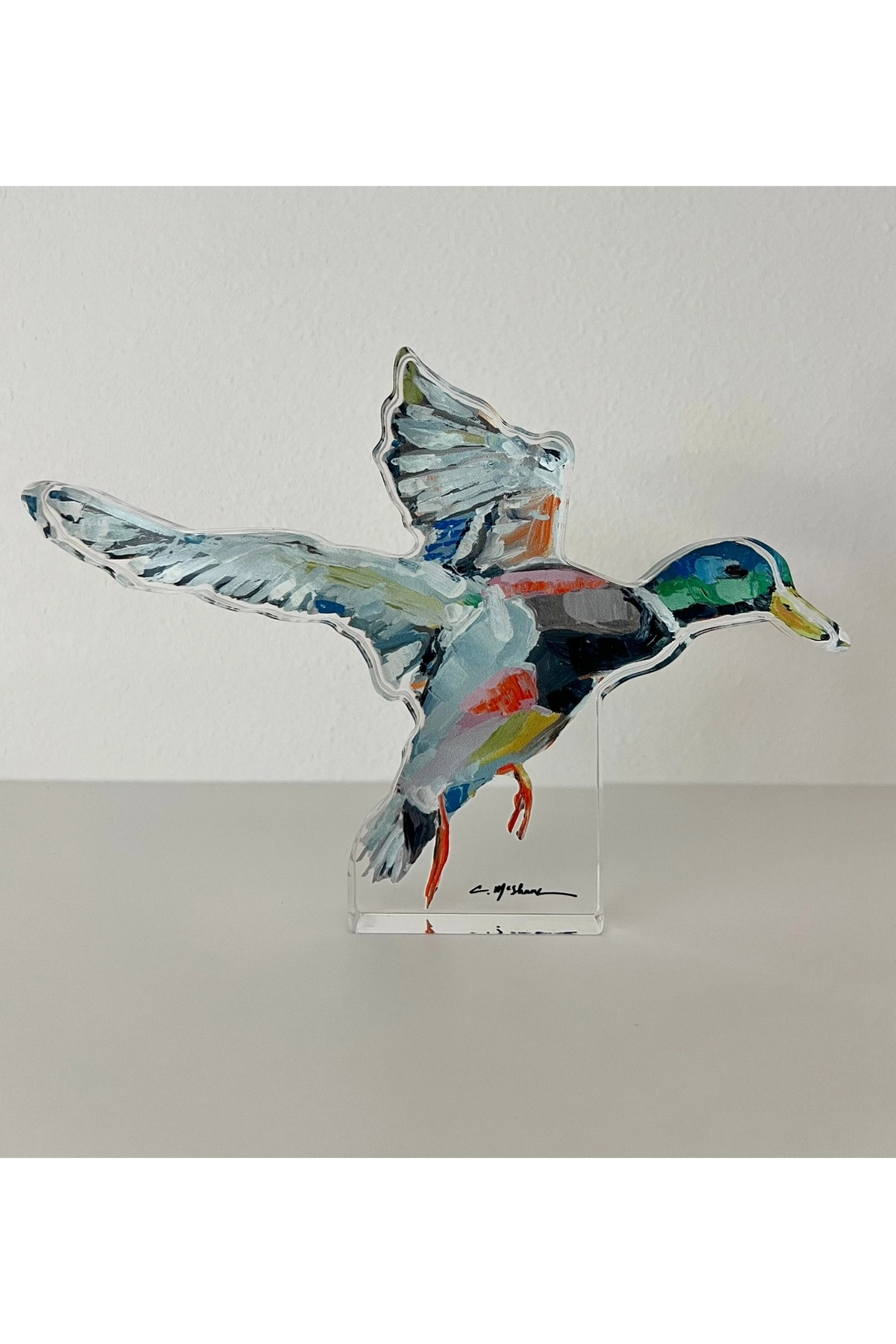 Take Flight Shelfie