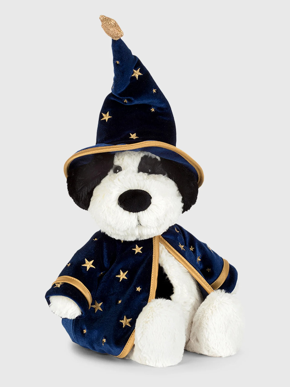 Rufferty Puppy Wizard Outfit