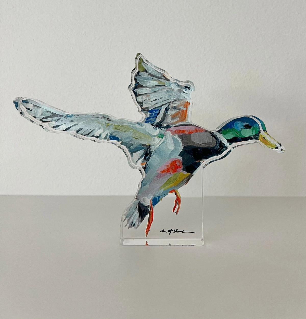 Take Flight Shelfie