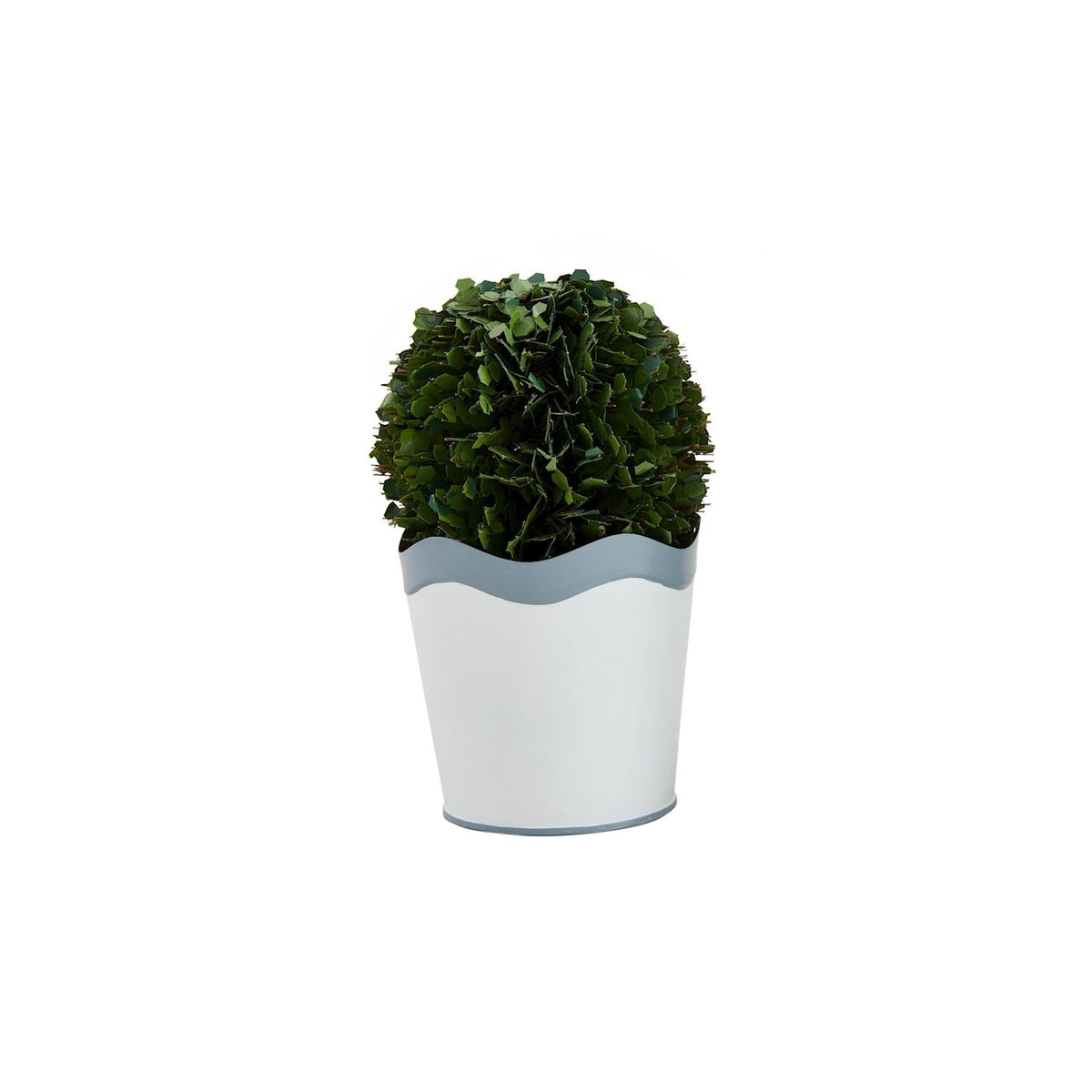 LARGE SCALLOPED BOXWOOD POT