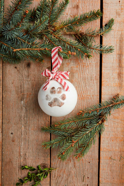 PAW PRINT ORNAMENT KIT
