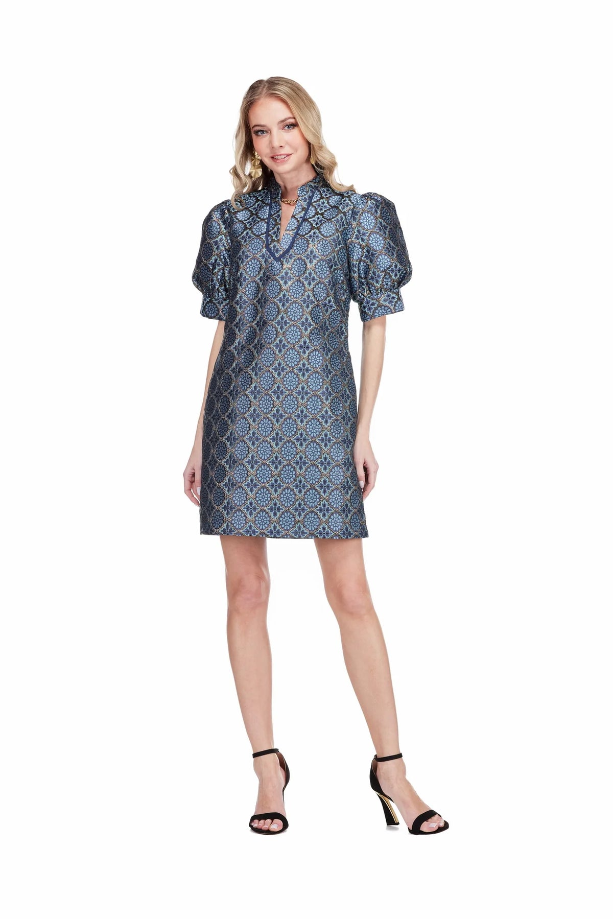 Gilded Trellis Collar trimmed V-neck dress