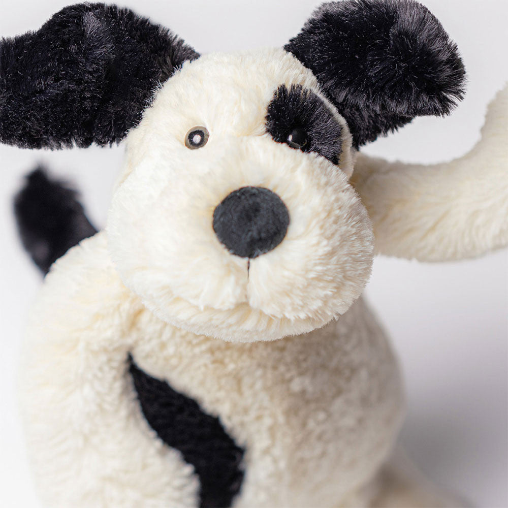 Rufferty Puppy