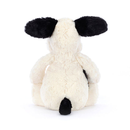 Rufferty Puppy