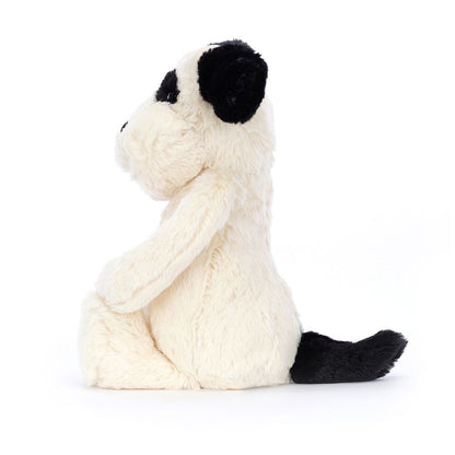 Rufferty Puppy