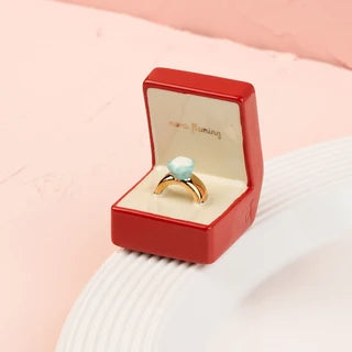 put a ring on it Mini