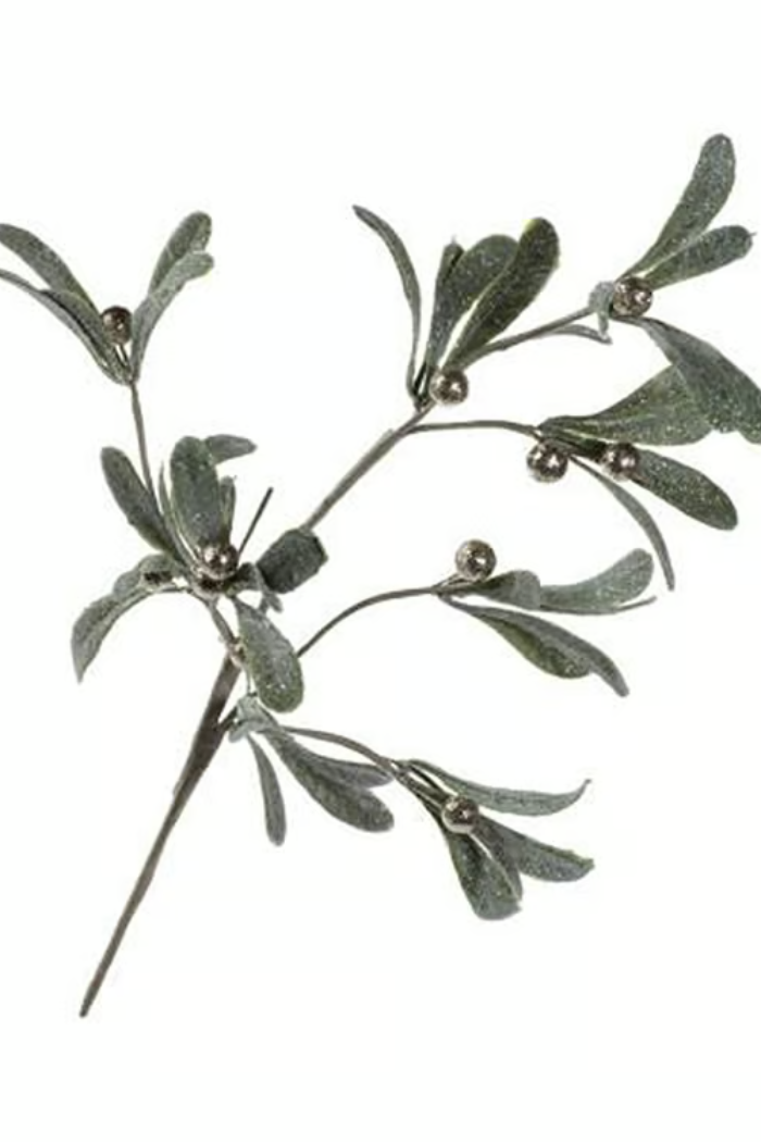 Olive & Berry Stem-1