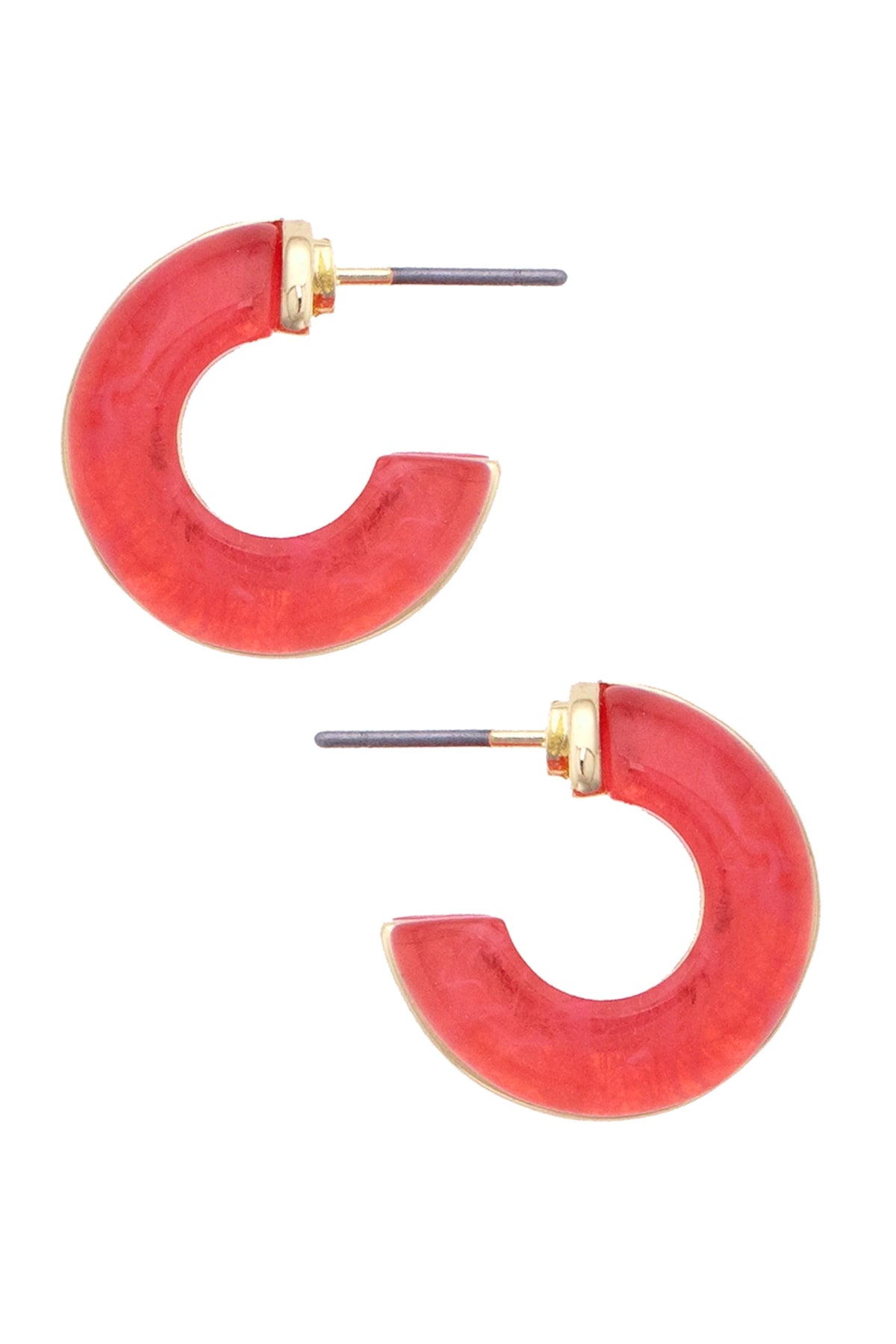 Dylan Double Hoop Earrings in Pink