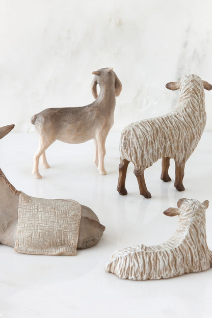 Sheltering Animals for The Holy Family