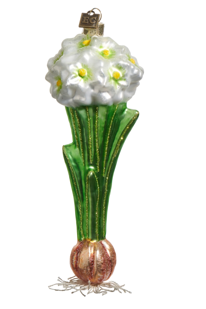 7" Paperwhite Bulb Ornament