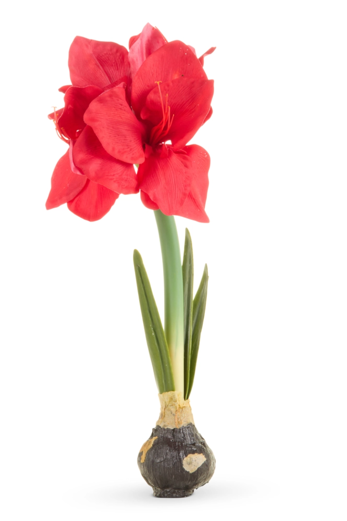 19" Real Touch Red Amaryllis Bulb