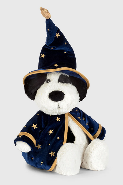 Rufferty Puppy Wizard Outfit