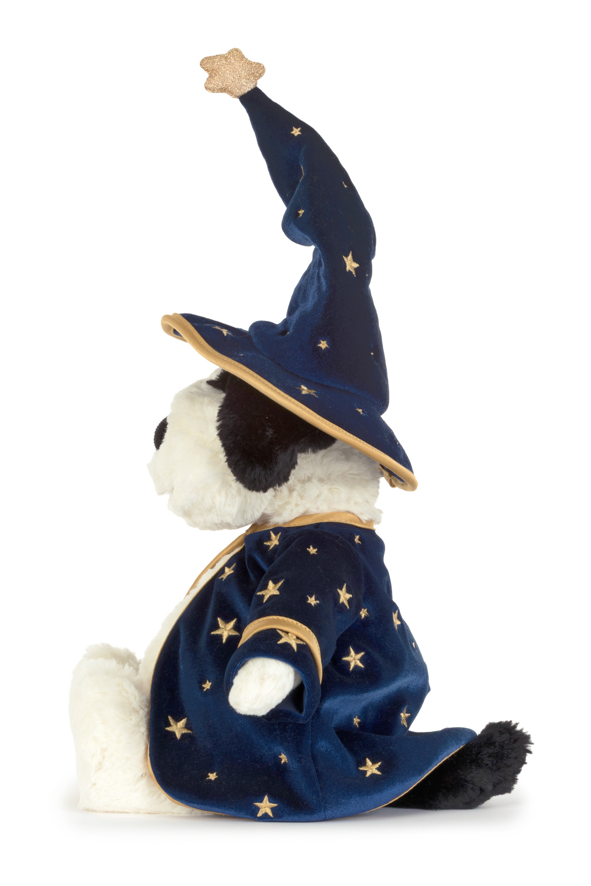 Rufferty Puppy Wizard Outfit