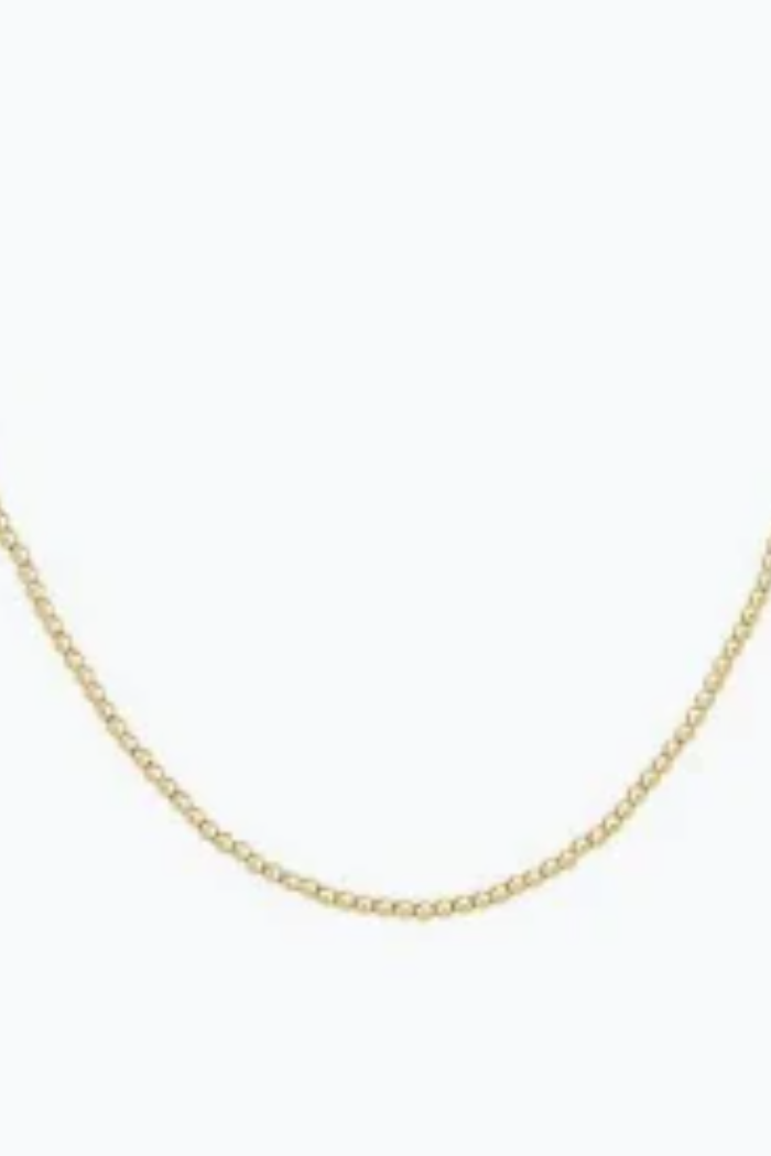 Gold 2mm Choker